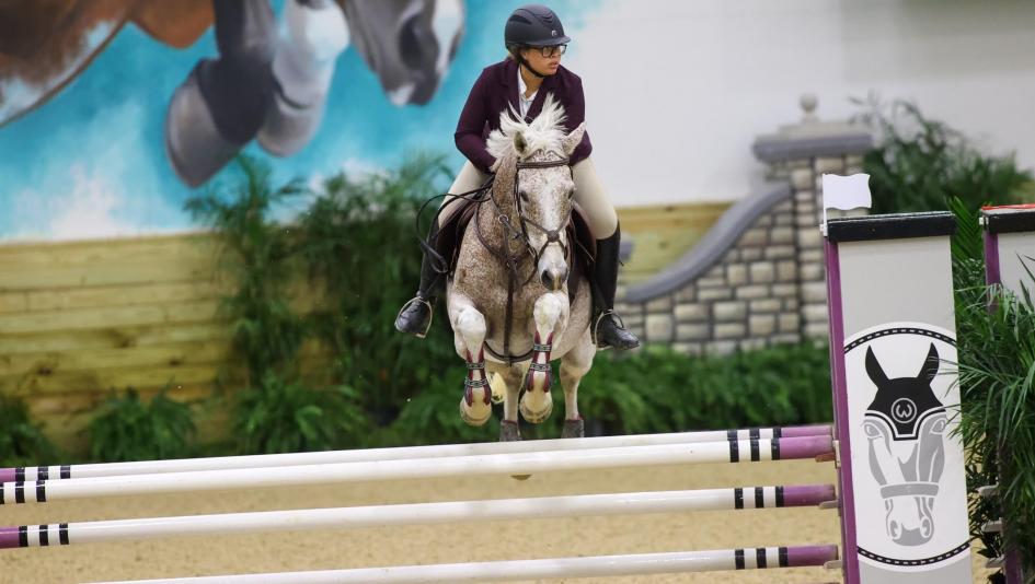 Thoroughbred Incentive Program, performance awards, aftercare, America's Best Racing, Triple Crown, Kentucky Derby, horse racing, ABR 